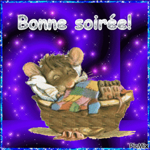 bonne soirée dodo